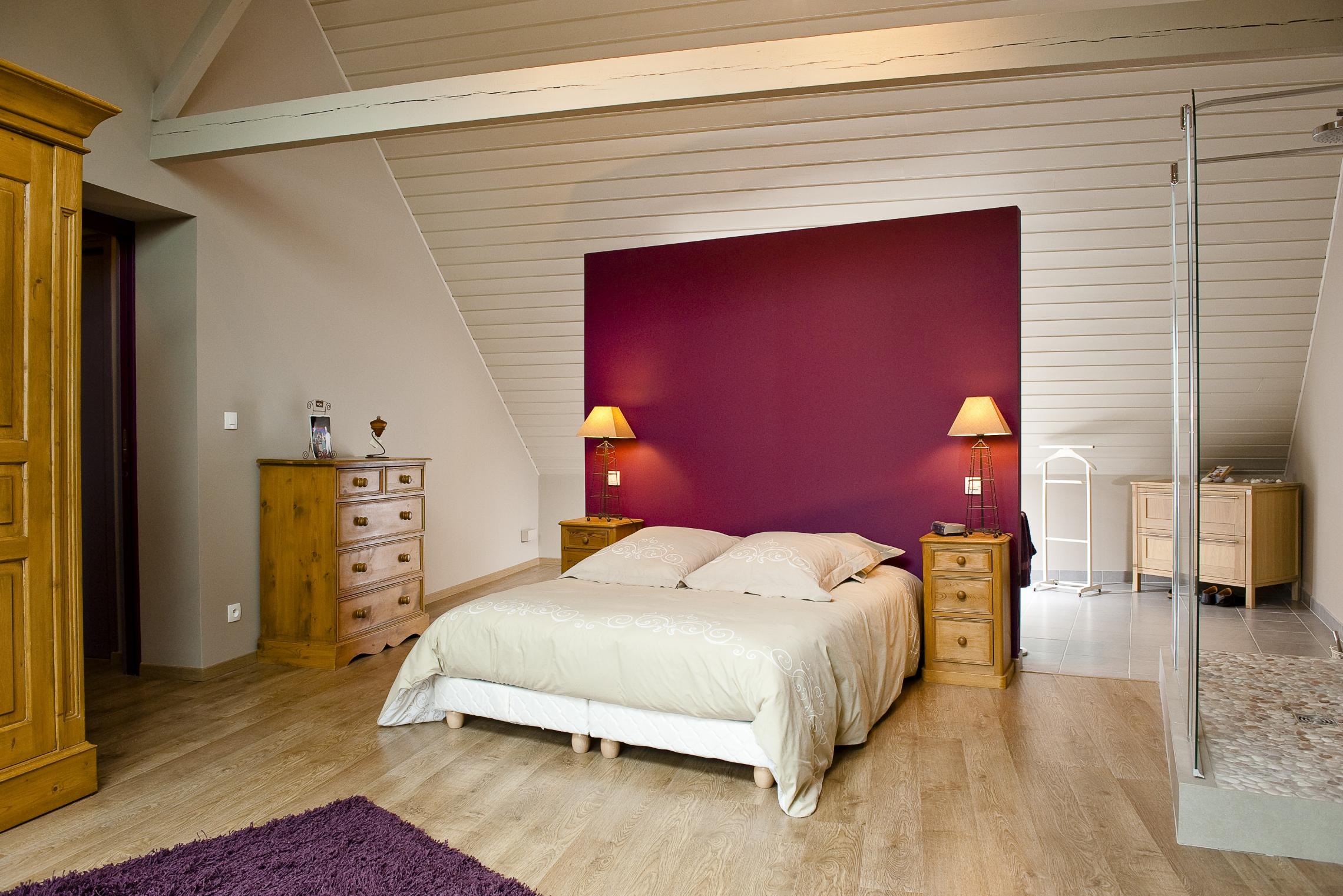 Amenagement combles Nord (59)