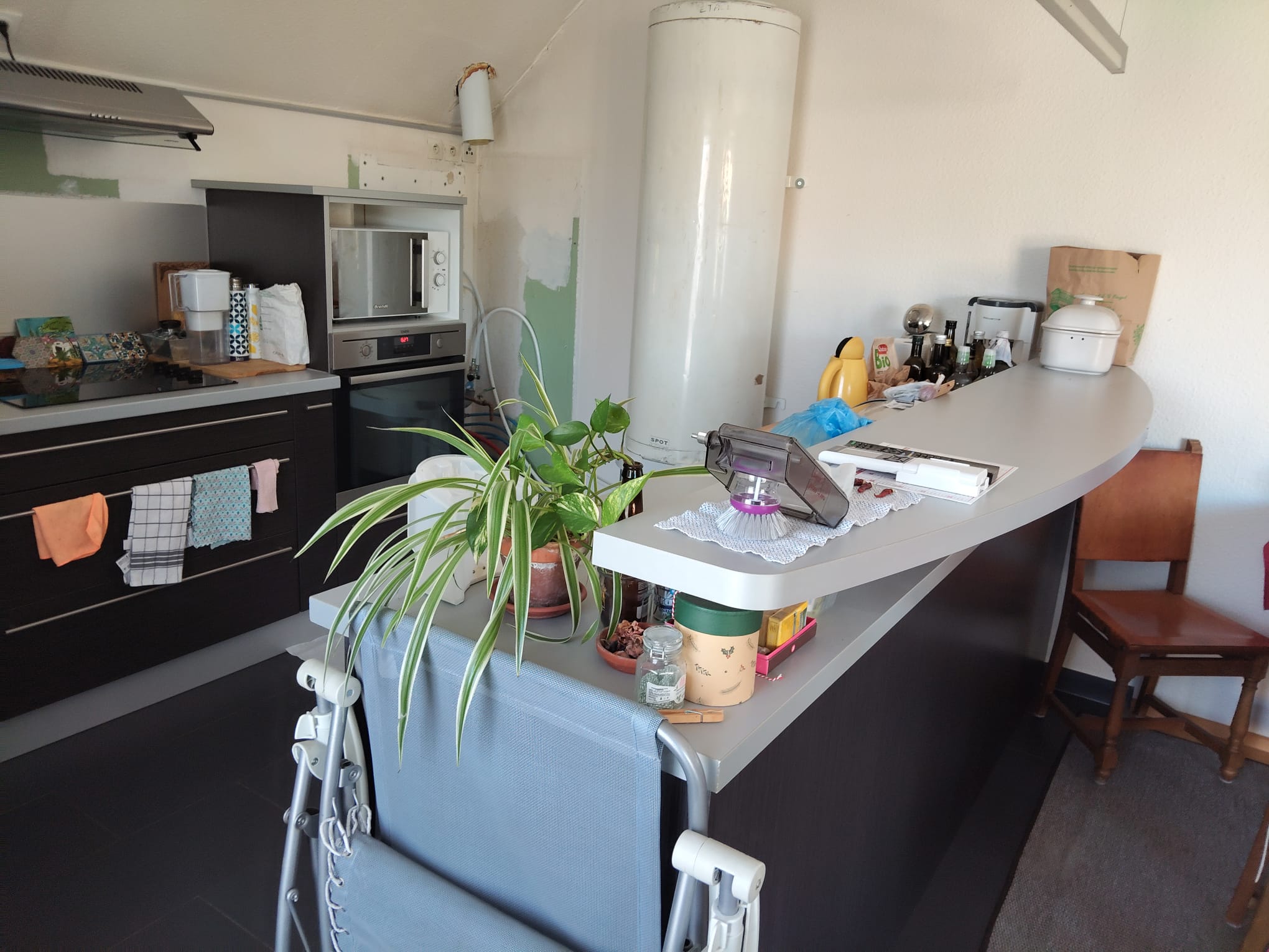 🏡✨ NOUVEAU PROJET À COLMAR ✨🏡