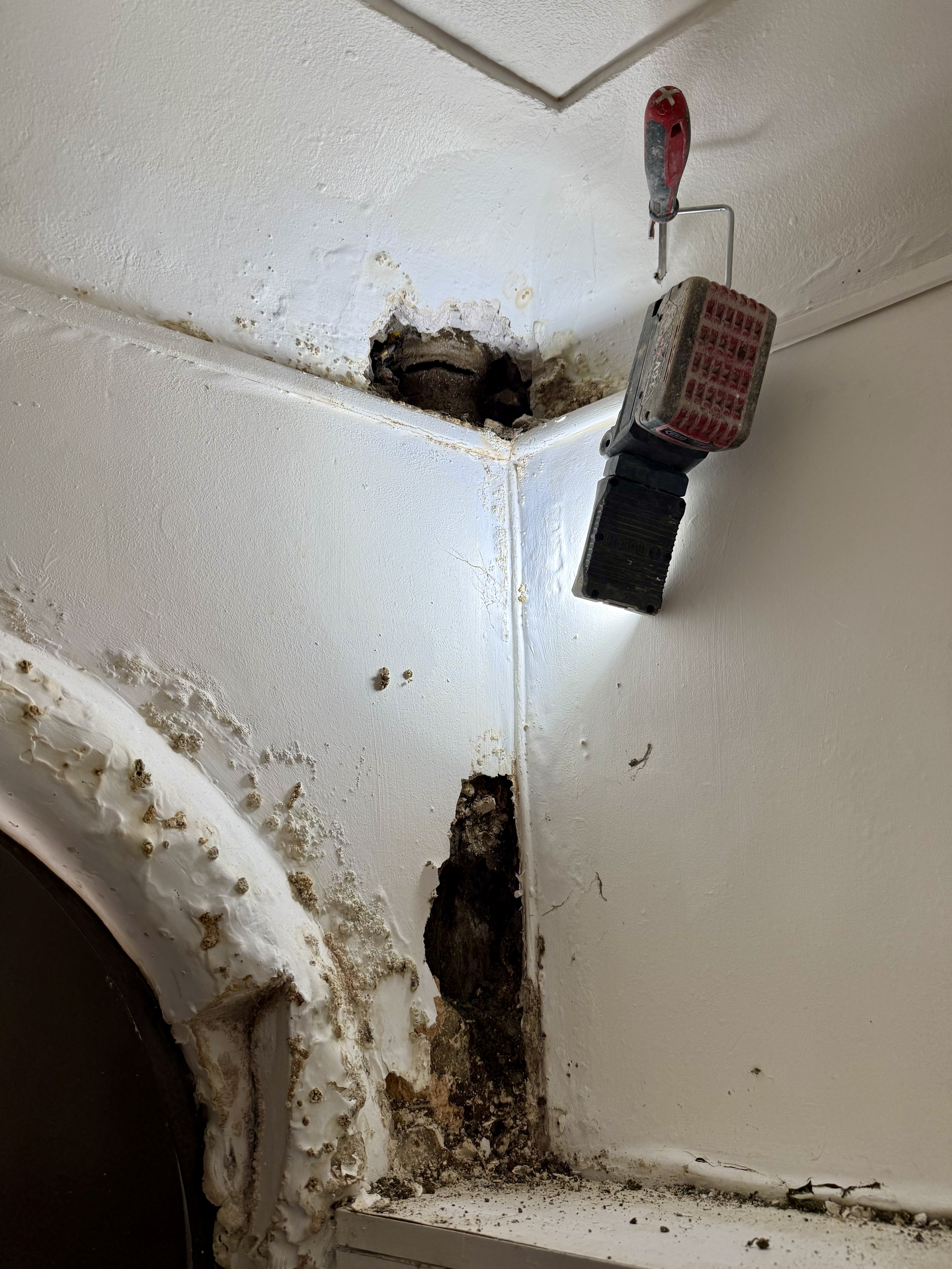 Quelle horreur 😱 pour un occupant de voir se former sur un mur de tels dégâts d’infiltration !