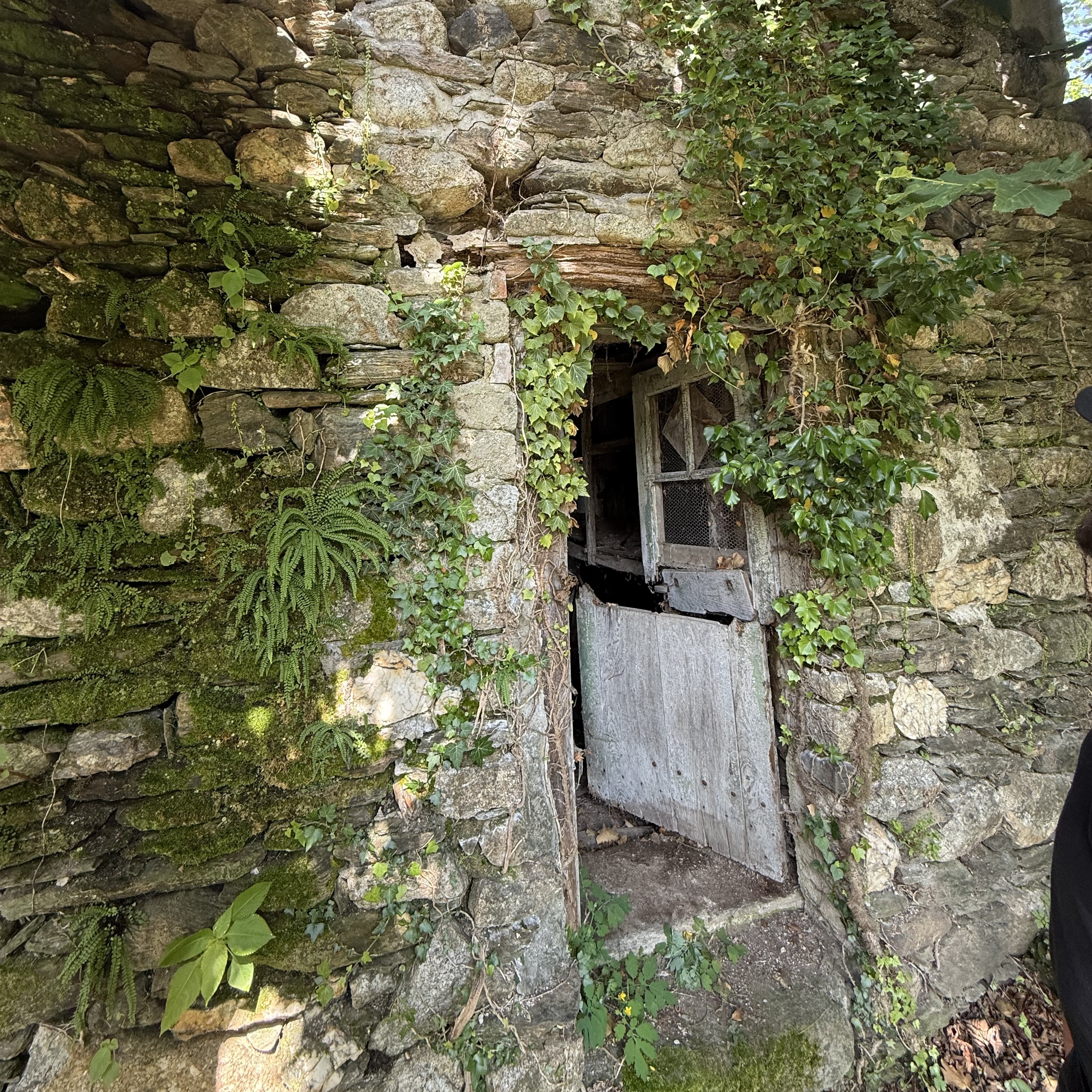 Une très (très) vieille maison de famille