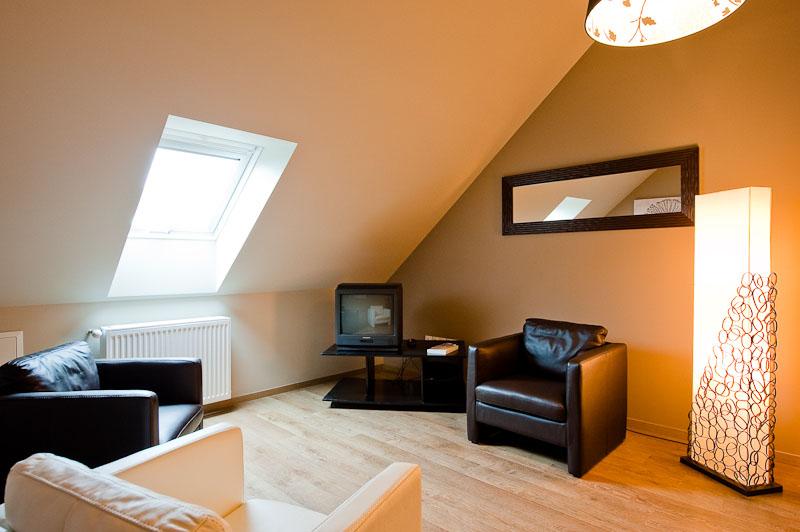 Amenagement combles Nord (59)