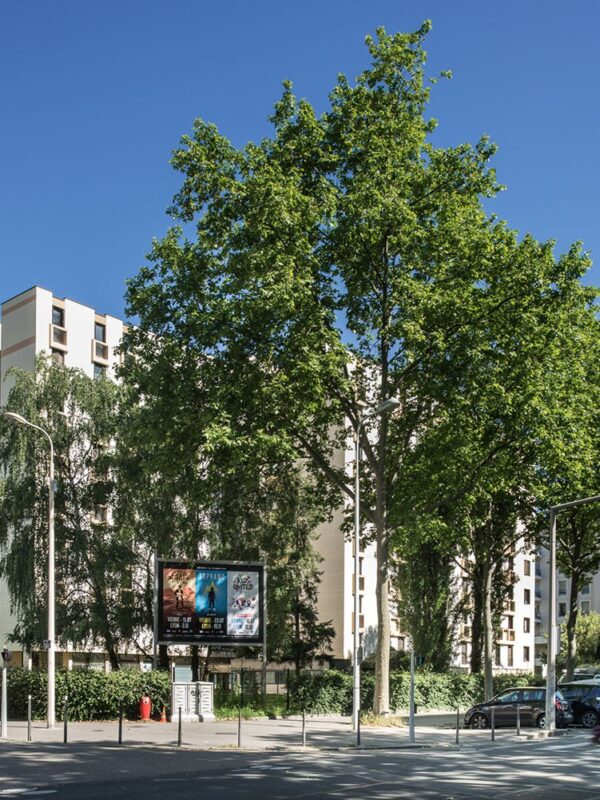 Rénovation d’un immeuble à Lyon (69)