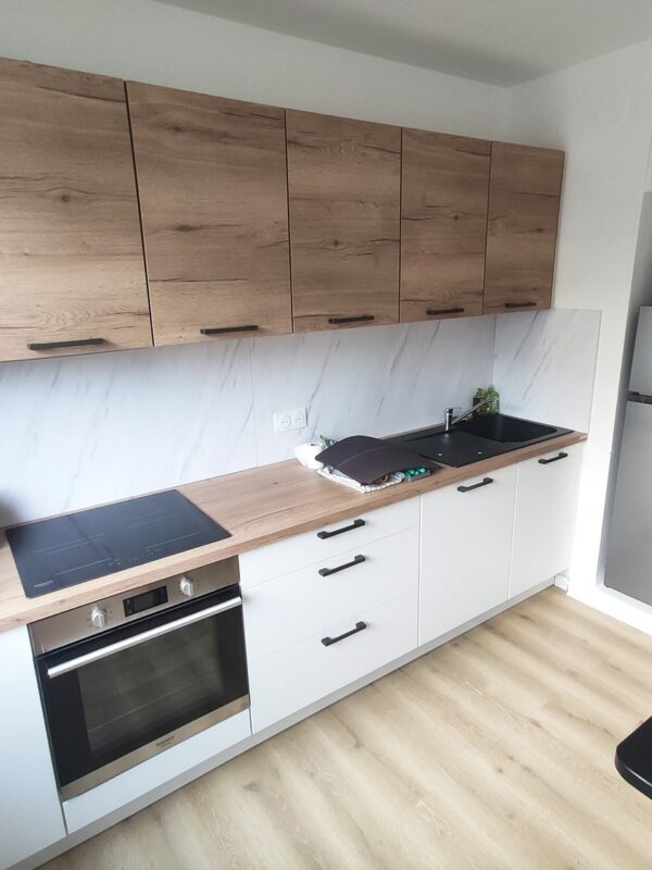 Rénovation complète d'un appartement près de Mulhouse (68)