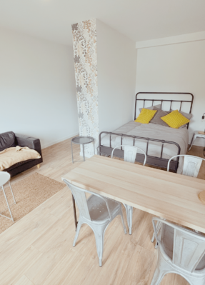 Rénovation d’un appartement à Montauban (82)