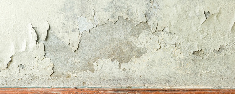 Humidité mur : comment traiter le problème ?